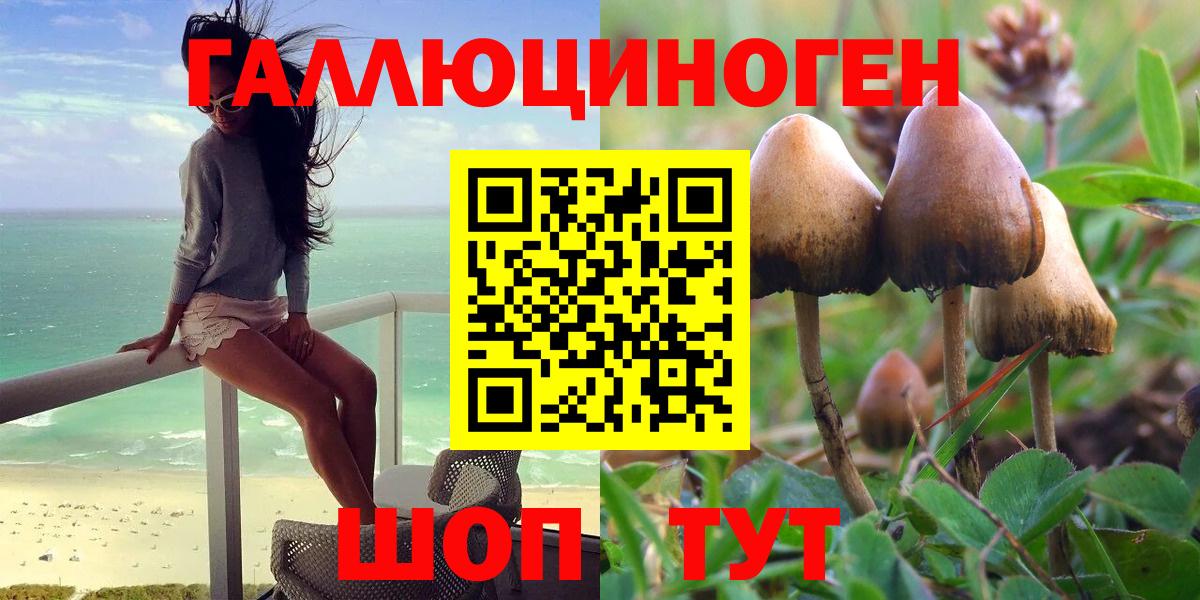 Псилоцибиновые грибы Psilocybine cubensis Малоярославец