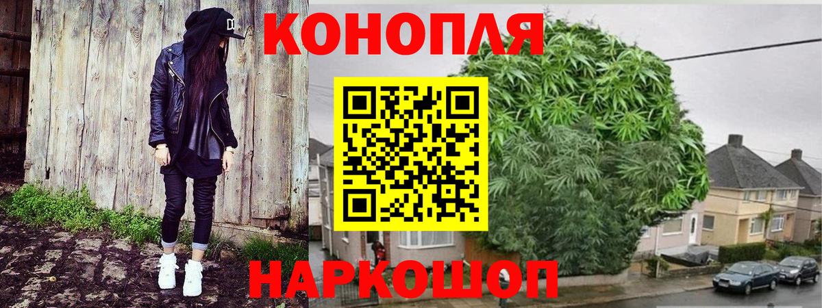 Малоярославец  Бошки марихуана планчик  Шишки марихуана гибрид  Шишки марихуана SATIVA & INDICA  Вход с VPN 